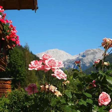Mayringerlehen Ferienwohnung * 람사우